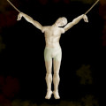 The Torture Game 2
Rating: 4.5/10
Compatibility: Compatible
Date Added: 2025-01-18
Release Date: 2008-05-11
Similarity Score: 5